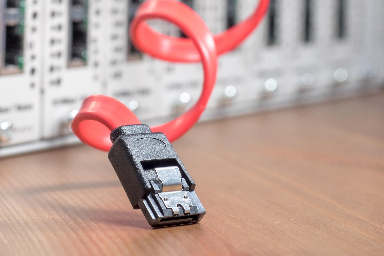 Patchpanel-Nahaufnahme mit RJ45-Patchkabeln im Serverschrank